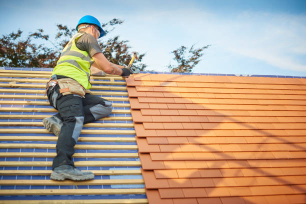 Best Roof Maintenance and Cleaning  in Hlsboro, IL